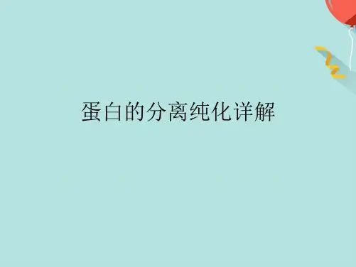 蛋白的分离纯化详解(分析“蛋白质”文档)共63张PPT