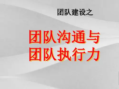 团队沟通与团队执行力教案