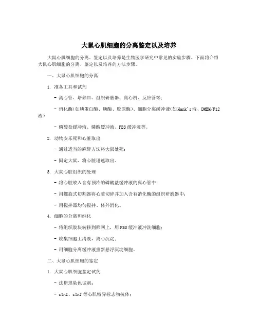 大鼠心肌细胞的分离鉴定以及培养