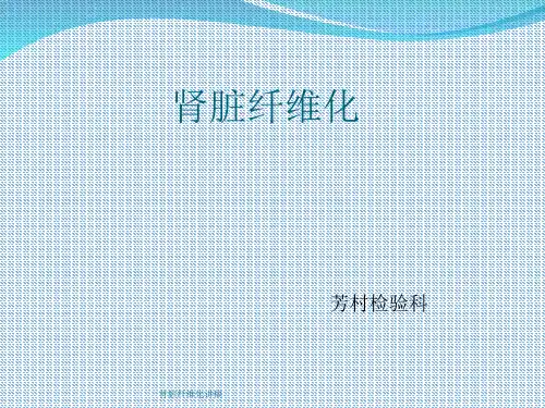 肾脏纤维化讲稿课件