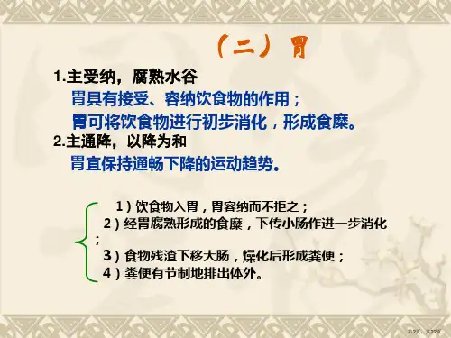 藏象学说六腑奇恒之腑课件.ppt