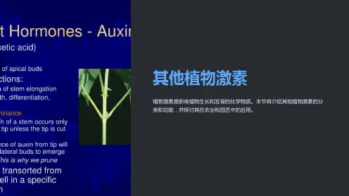 其他植物激素