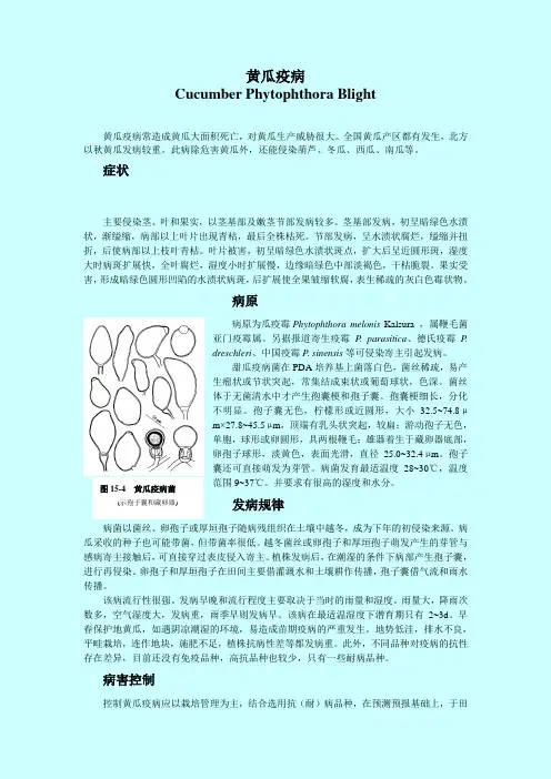 瓜类疫病