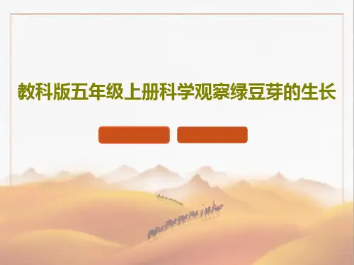 教科版五年级上册科学观察绿豆芽的生长PPT24页