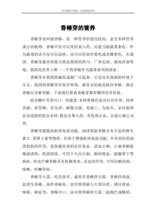 香椿芽的营养