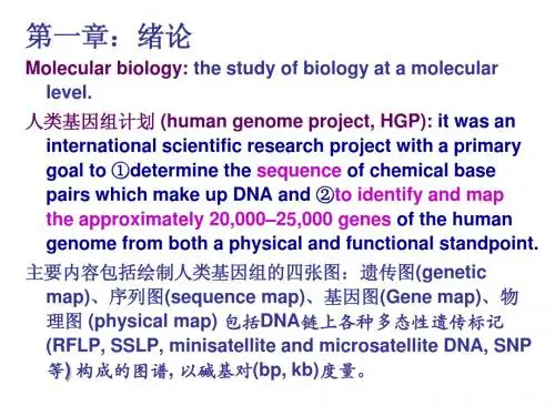 分子生物学总复习