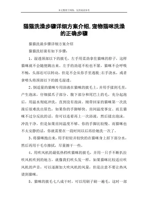 猫猫洗澡步骤详细方案介绍,宠物猫咪洗澡的正确步骤