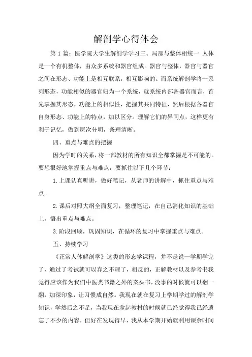 解剖学心得体会