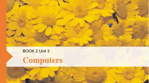 人教版(新课程标准)必修2Unit3Computers复习课件