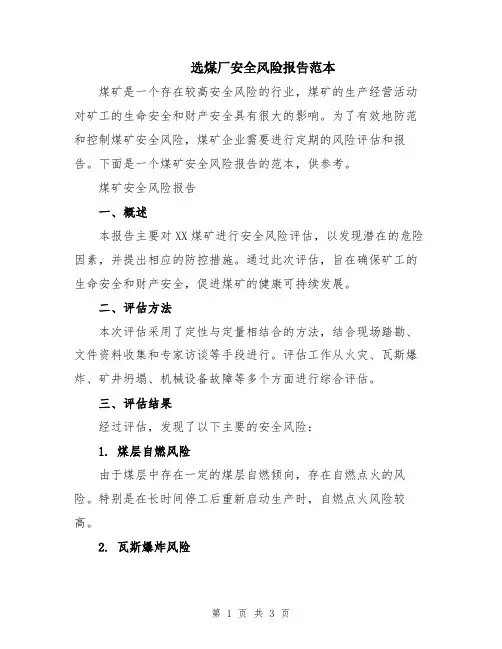 选煤厂安全风险报告范本