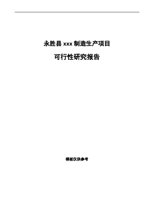 永胜县项目可行性研究报告通用模板