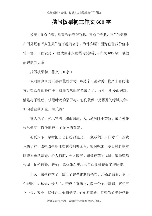 描写板栗初三作文600字
