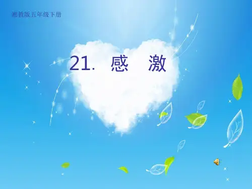 《感激》课件