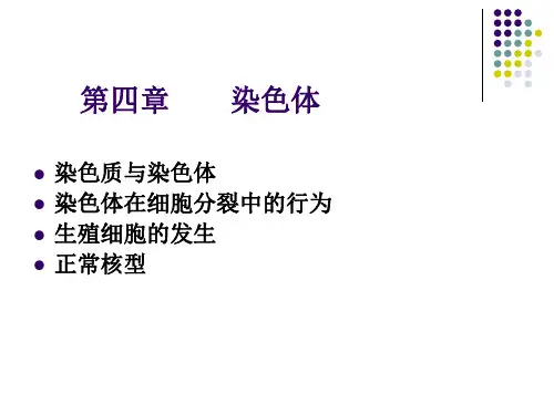 3,染色体