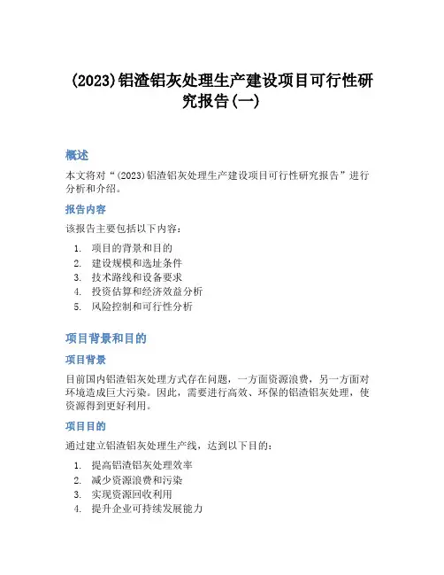 (2023)铝渣铝灰处理生产建设项目可行性研究报告(一)