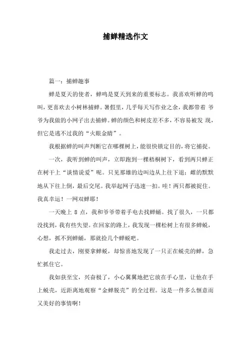 捕蝉精选作文