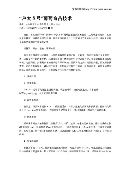 “户太8号”葡萄育苗技术