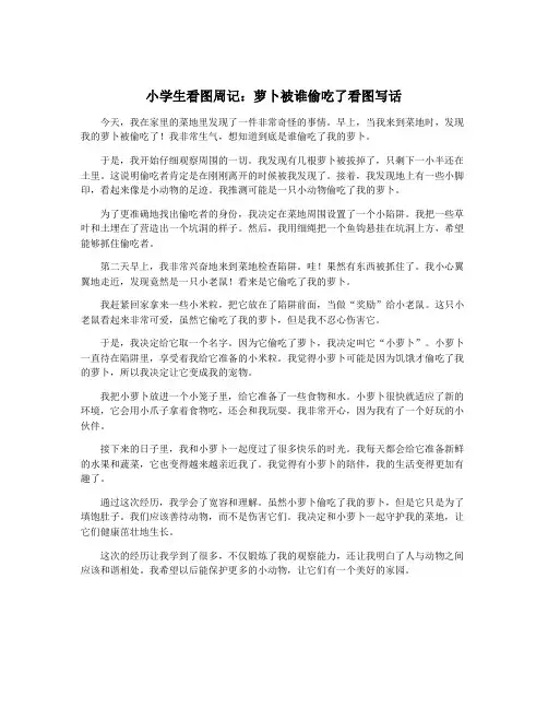 小学生看图周记：萝卜被谁偷吃了看图写话