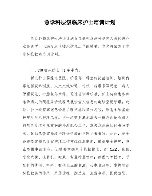 急诊科层级临床护士培训计划