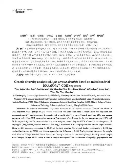 211142717_基于线粒体DNA_tRNAleu-COII_序列分析阿坝中蜂遗传多样性