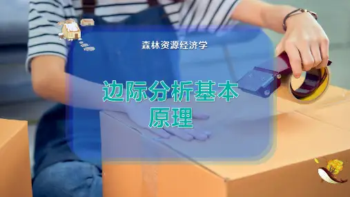 边际分析基本原理