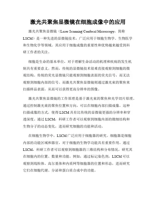 激光共聚焦显微镜在细胞成像中的应用
