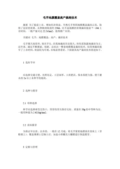 毛芋地膜覆盖高产栽培技术