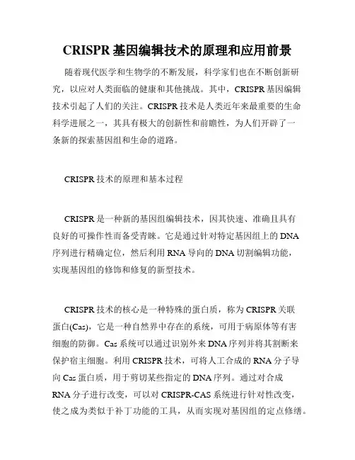 CRISPR基因编辑技术的原理和应用前景