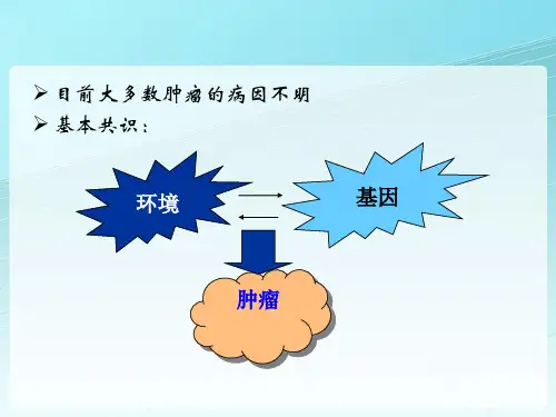 肿瘤病因学PPT课件
