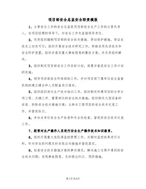 项目部安全总监安全职责模版(3篇)