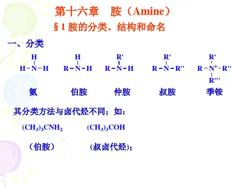有机化学课件-16胺