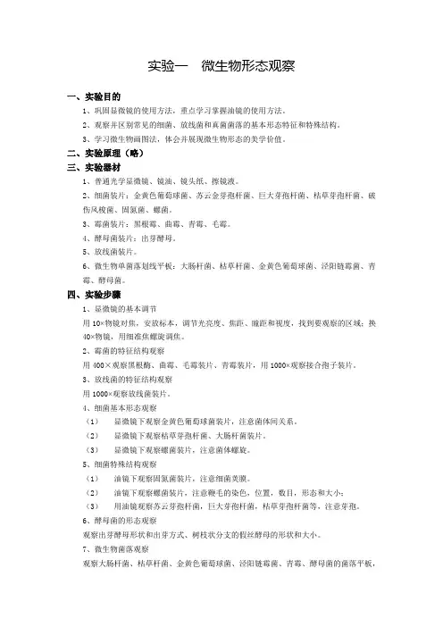 微生物形态观察