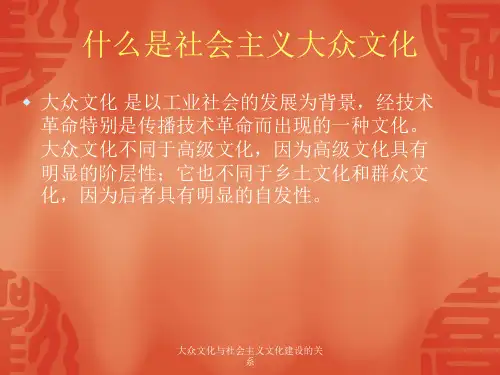 大众文化与社会主义文化建设的关系课件
