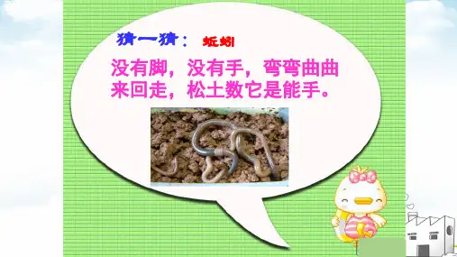 三年级上科学ppt重点课件蚯蚓l教科版