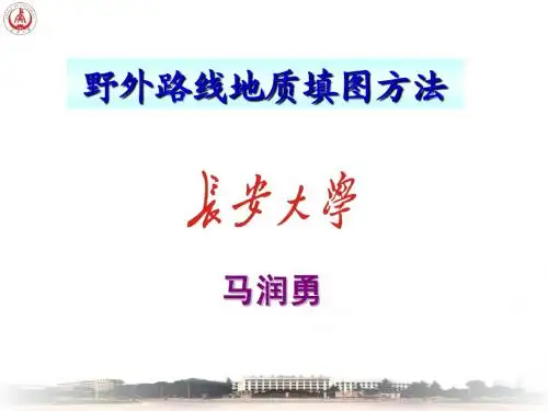 巢湖实习,报告- 地质填图