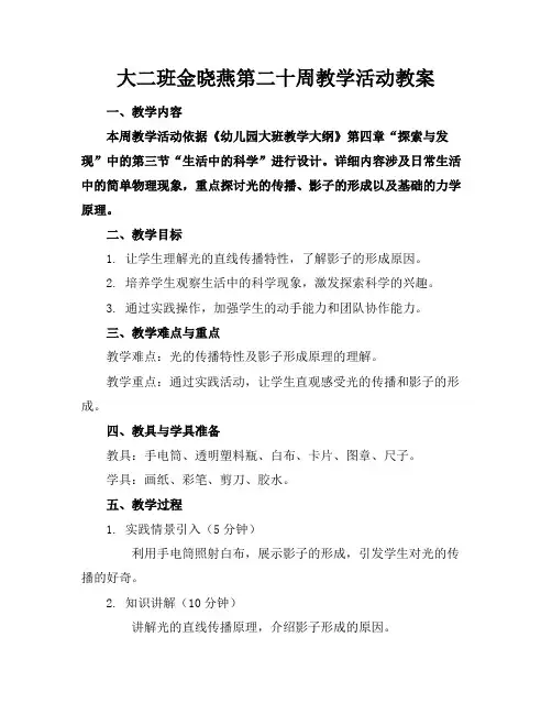 大二班金晓燕第二十周教学活动教案(1)