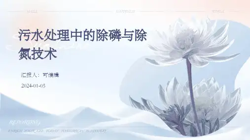 污水处理中的除磷与除氮技术
