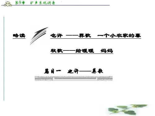 高中语文人教选修《中国现代诗歌散文欣赏》课件：诗歌部分 二略读 也许 ——葬歌 一个小农家的暮歌——给暖