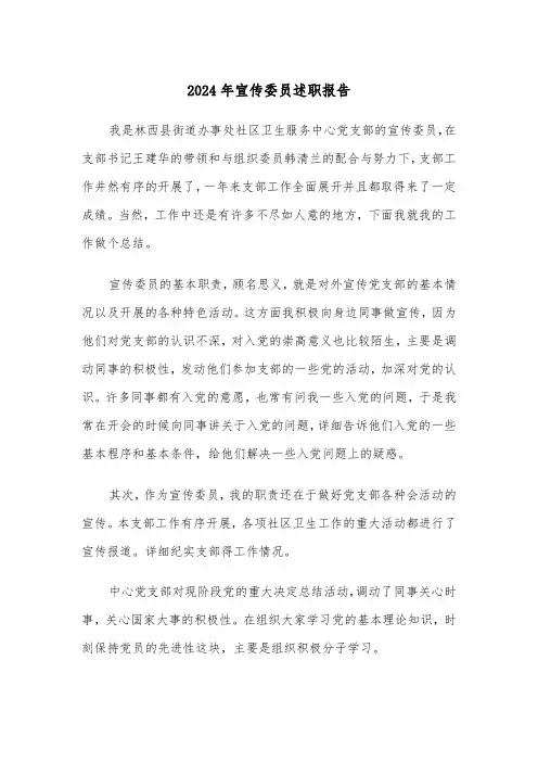 2024年宣传委员述职报告（二篇）