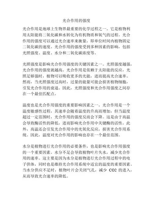 光合作用的强度