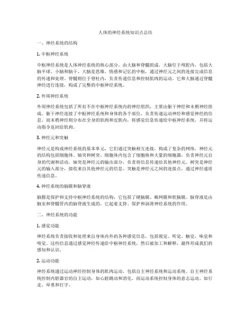 人体的神经系统知识点总结