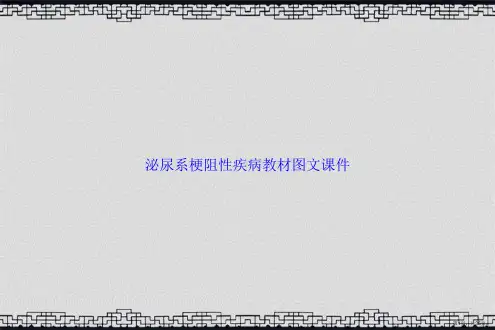 泌尿系梗阻性疾病教材图文讲课文档