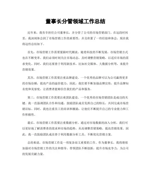 董事长分管领域工作总结