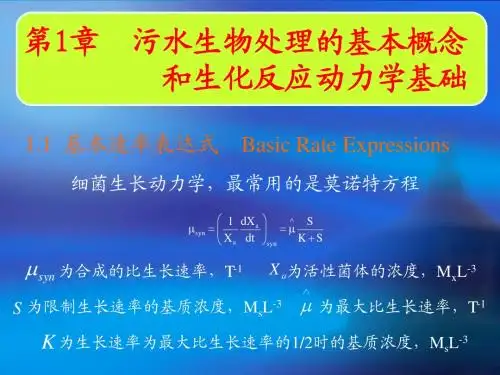 污水生物处理的基本概念和生化反应动力学基础