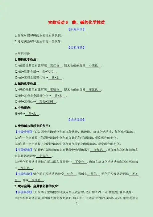 2024年人教版九年级下册化学期末复习实验活动6酸、碱的化学性质