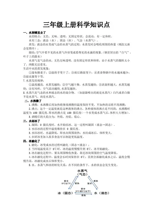 苏教版科学三年级上复习资料