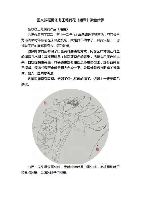 图文教程杨冬冬工笔荷花《曦雪》染色步骤