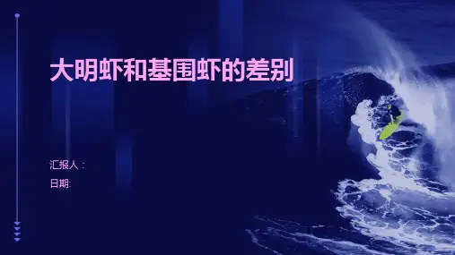 大明虾和基围虾的差别