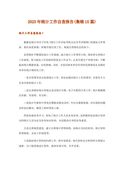 2023年统计工作自查报告(集锦15篇)