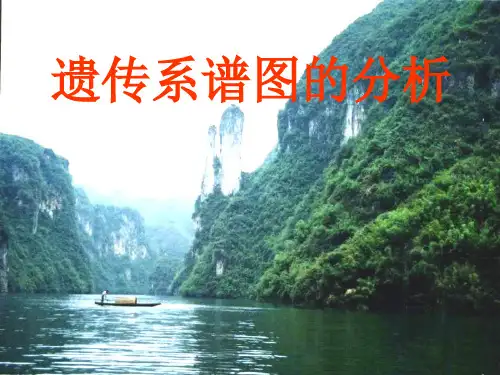 高一生物遗传系谱图的分析(2019年8月整理)